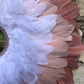 Grand Juju/ miroir plumes  Rose et blanc